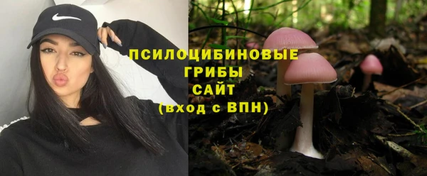амфетамин Гусев