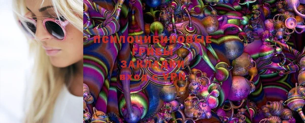 марихуана Гусиноозёрск