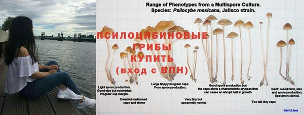 амфетамин Гусев