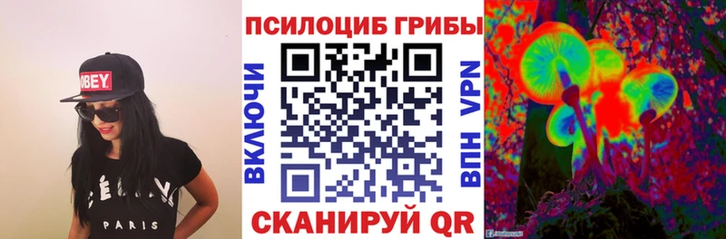 Псилоцибиновые грибы мицелий  Купить закладки  Киржач 